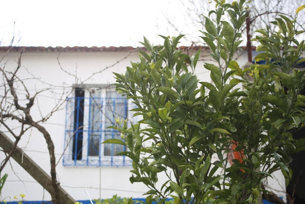 Sintra Nomad Lodge Εξωτερικό φωτογραφία